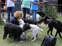 Puppys van Bliss040622-0078